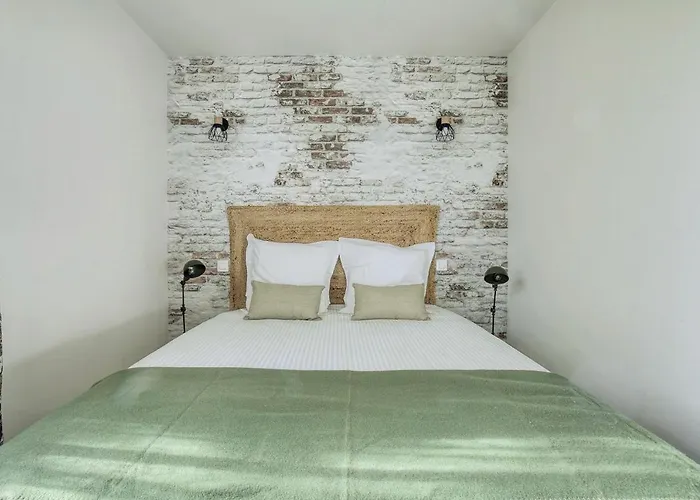 Le Nature Syrah Clim Gaillac Entre Albi-toulouse & Les Du Tarn 펜션