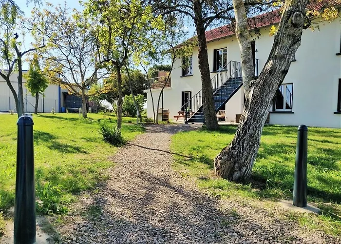 Le Nature Syrah Clim Gaillac Entre Albi-toulouse & Les Du Tarn