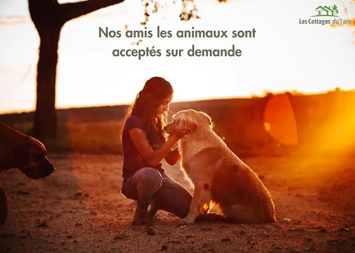 Le Nature Syrah Clim Gaillac Entre Albi-toulouse & Les Du Tarn 펜션 *