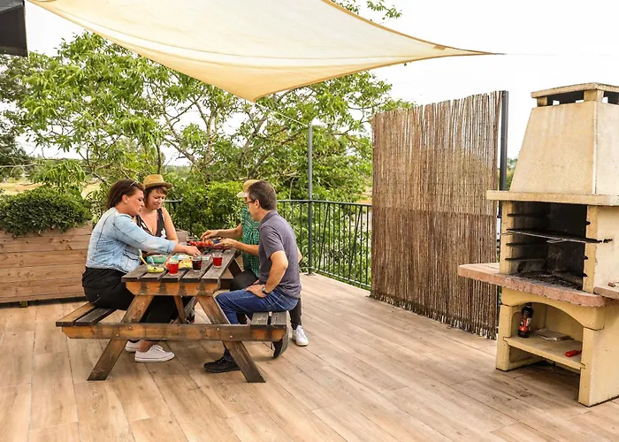 Le Nature Syrah Clim Gaillac Entre Albi-toulouse & Les Du Tarn * Brens (Tarn)