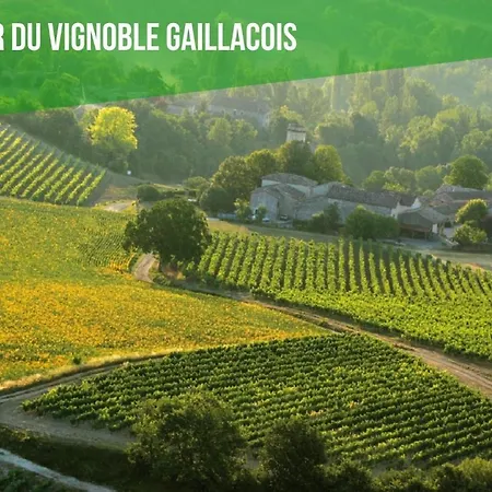 Syrah Sauna Nature Gaillac Albi Lescottagesdutarn