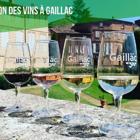 Le Nature Syrah Sauna Gaillac Entre Albi-toulouse & Les Du Tarn