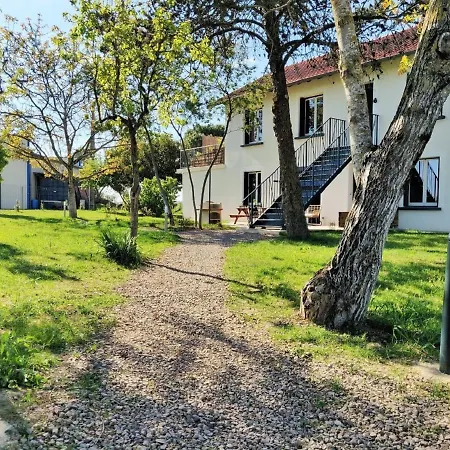 Le Nature Syrah Clim Gaillac Entre Albi-toulouse & Les Du Tarn