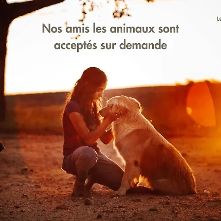 Le Nature Syrah Clim Gaillac Entre Albi-toulouse & Les Du Tarn Dom wakacyjny *