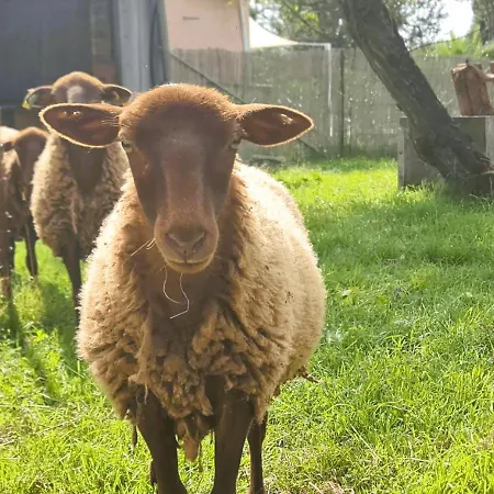 Dom wakacyjny Le Nature Syrah Clim Gaillac Entre Albi-toulouse & Les Du Tarn Brens (Tarn)