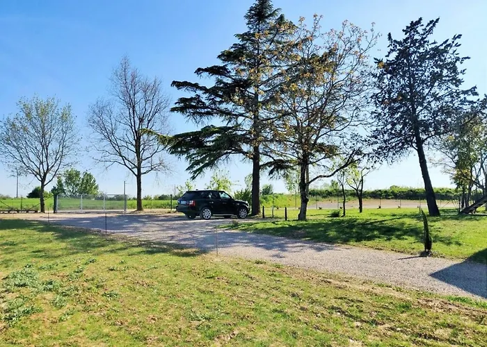 Le Nature Syrah Clim Gaillac Entre Albi-toulouse & Les Du Tarn * Brens (Tarn)