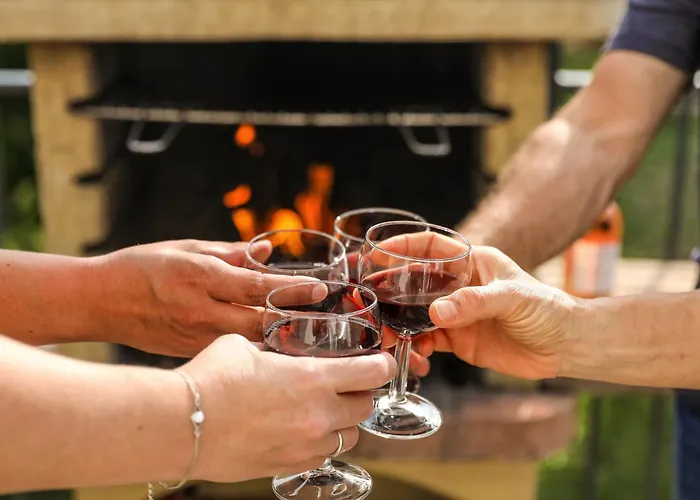 Le Nature Syrah Clim Gaillac Entre Albi-toulouse & Les Du Tarn